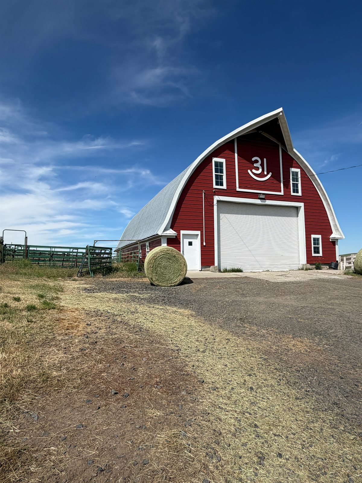 The 31 hip-roof barn above a field of alfalfa