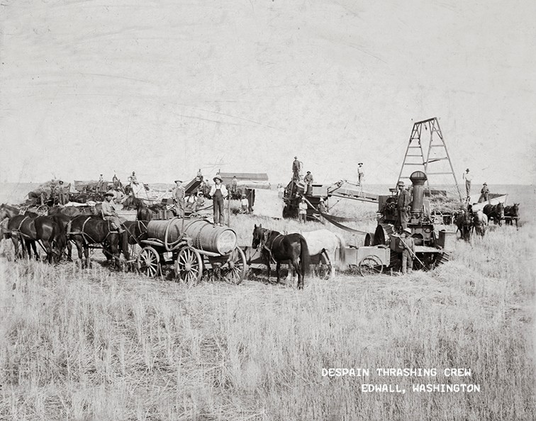 DeSpain thrashing crew